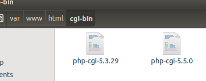 cgin-bin file for configuration php