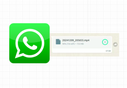 gagal donwload file besar whatsapp web