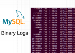 disable binary log mysql 8